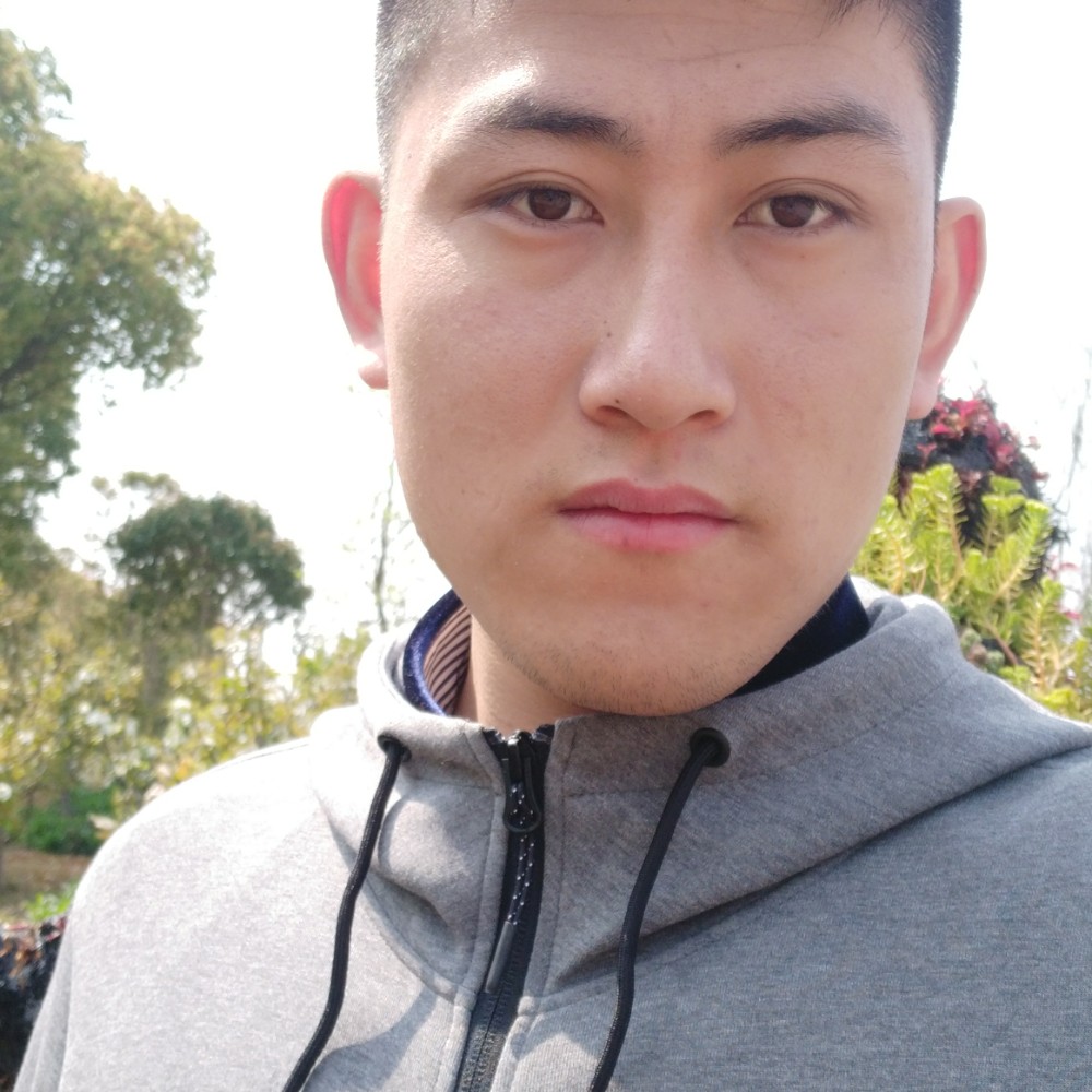 刺猬给轻松的照片