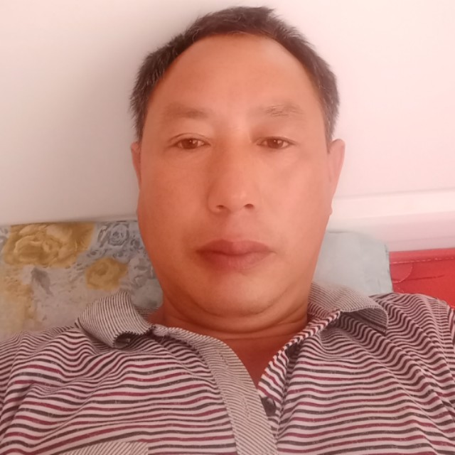 龙猫贤惠的照片