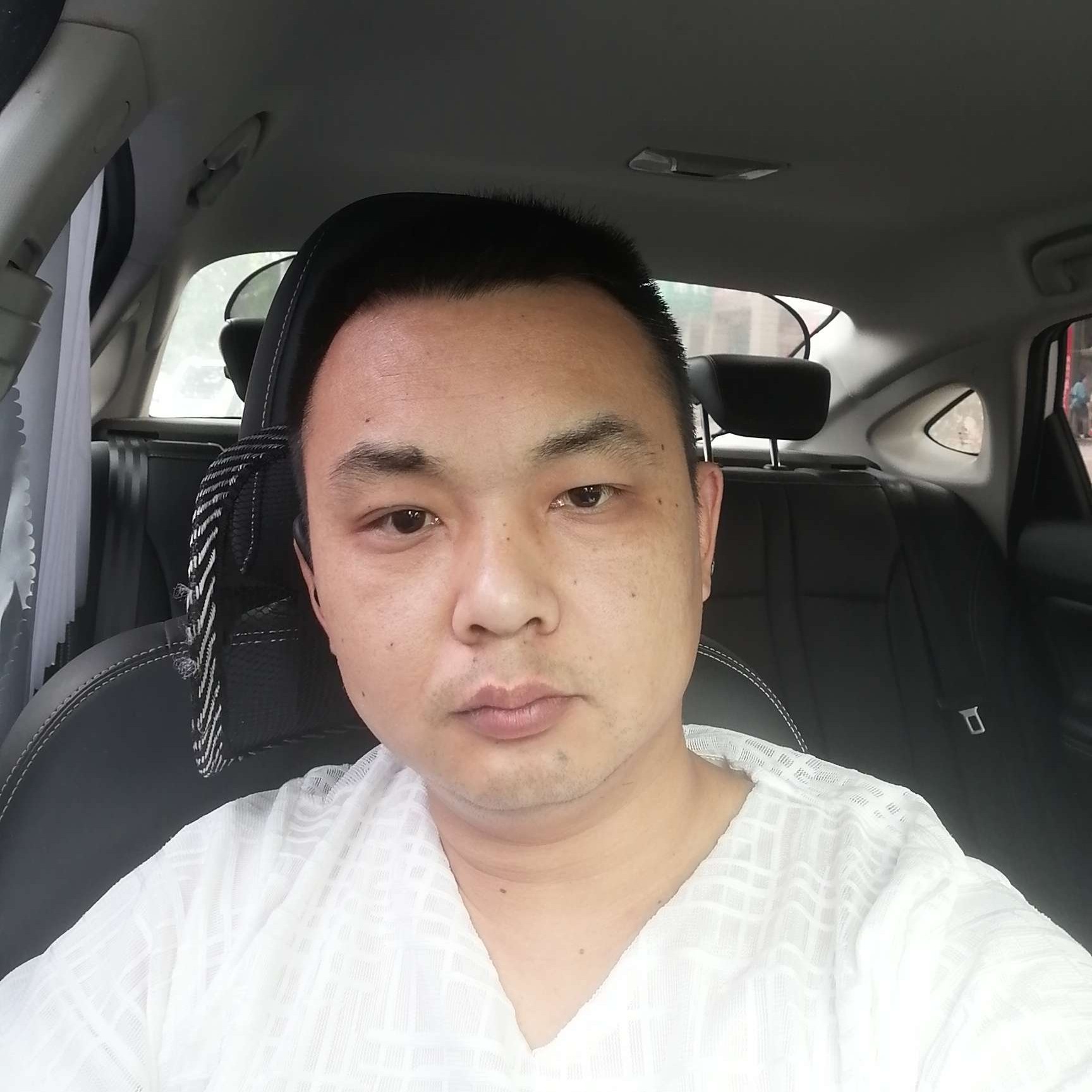 大雁漫步重要的照片
