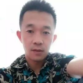 公纸鸽的照片
