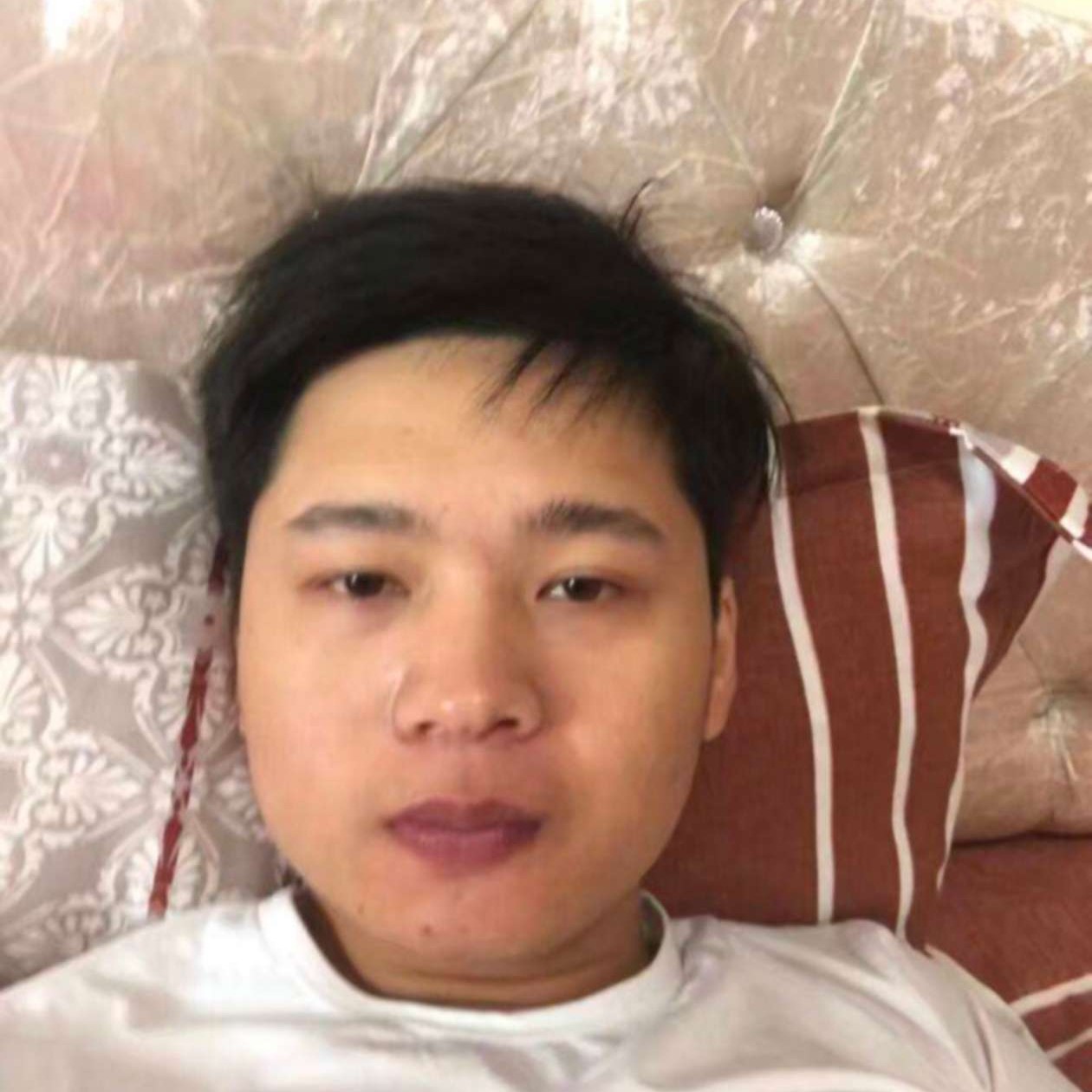 爱睡觉de罗伊