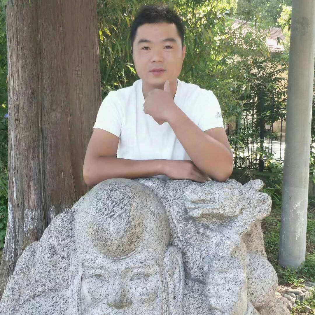 健壮深拥海燕的照片