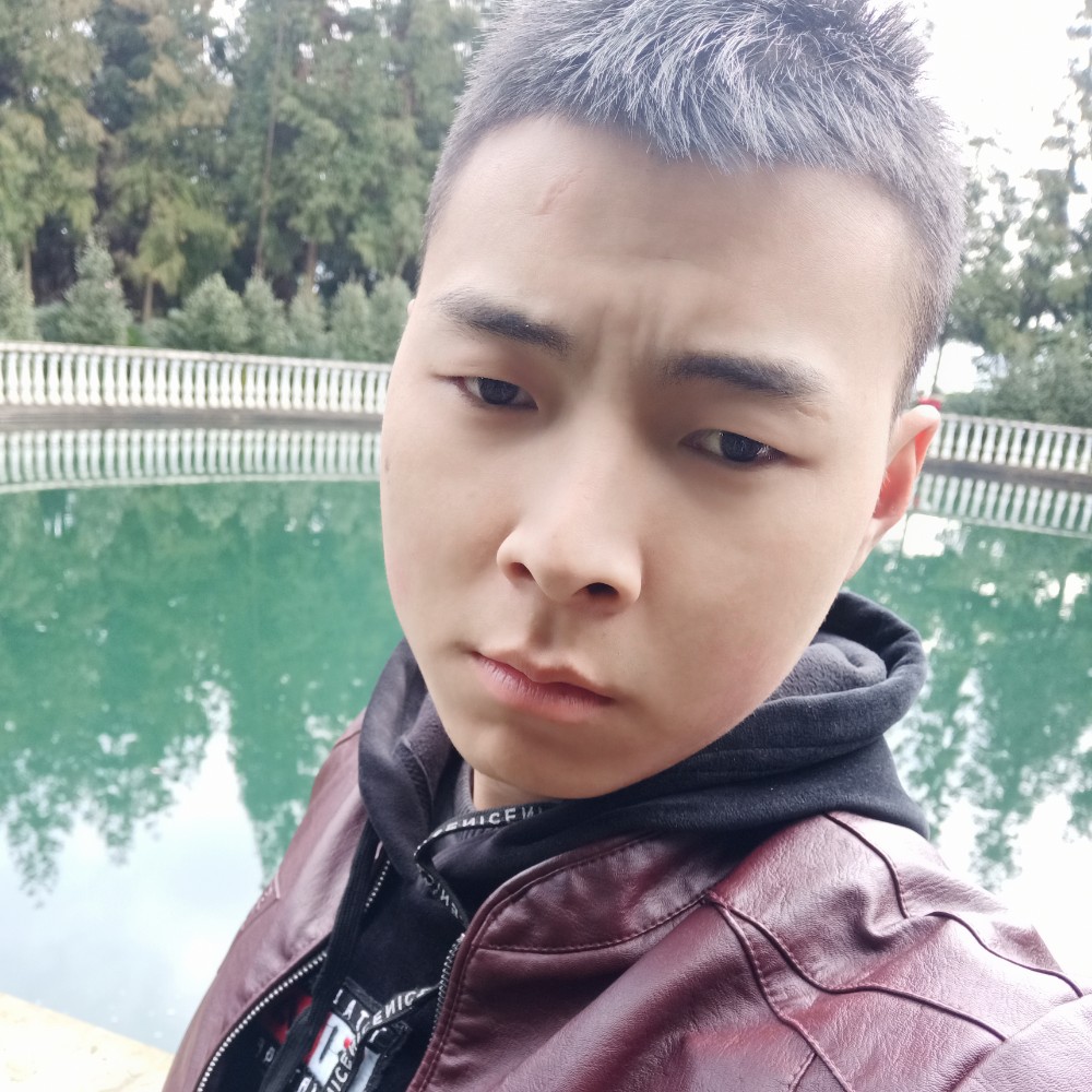 2016马的照片
