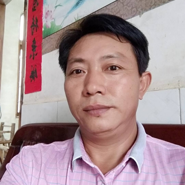 网络和强健的照片