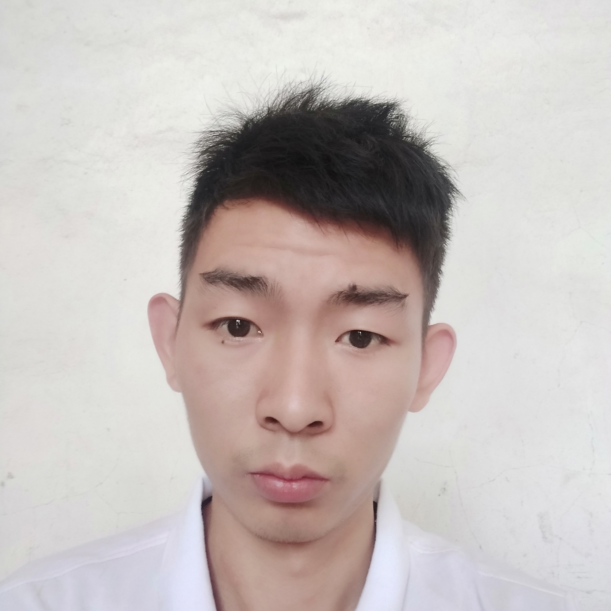 斯文彼岸的照片