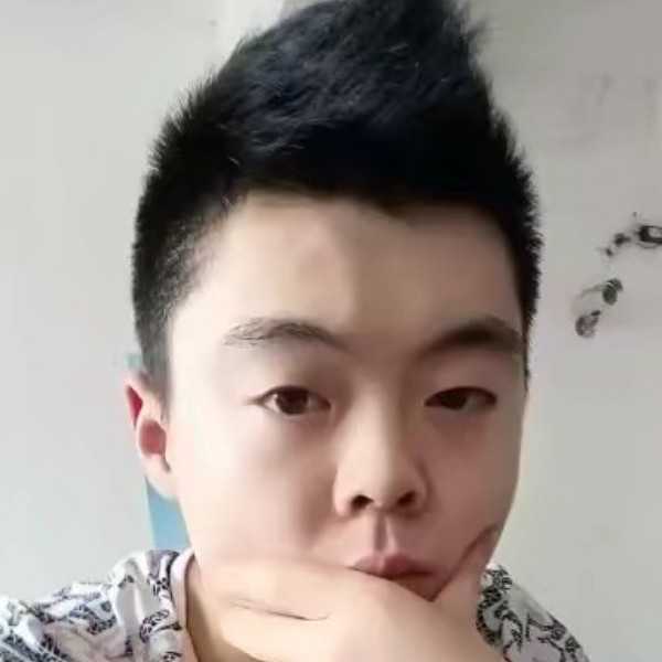 小海豚改变沉默的照片