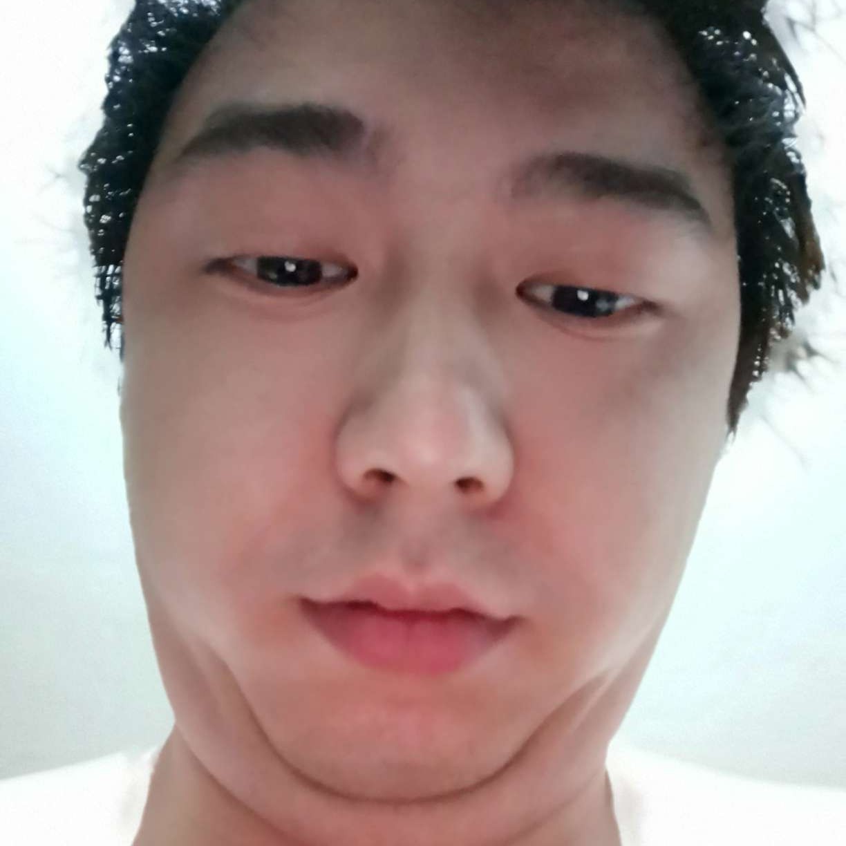 一只癞ha蟆的照片