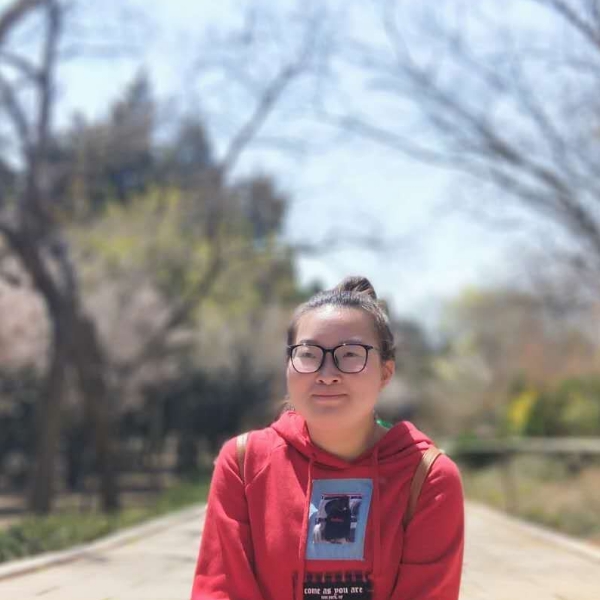 友好向日葵的照片