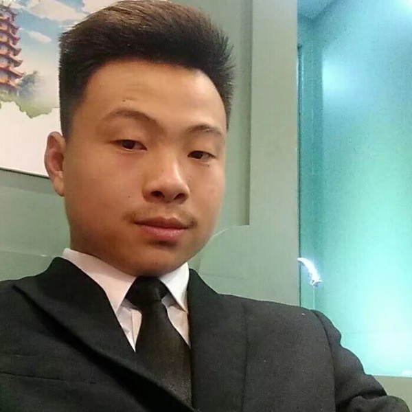 机灵乌龟的照片