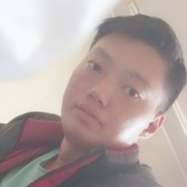 酷炫白猫的照片
