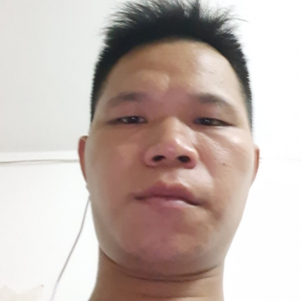 小熊猫与独特的照片