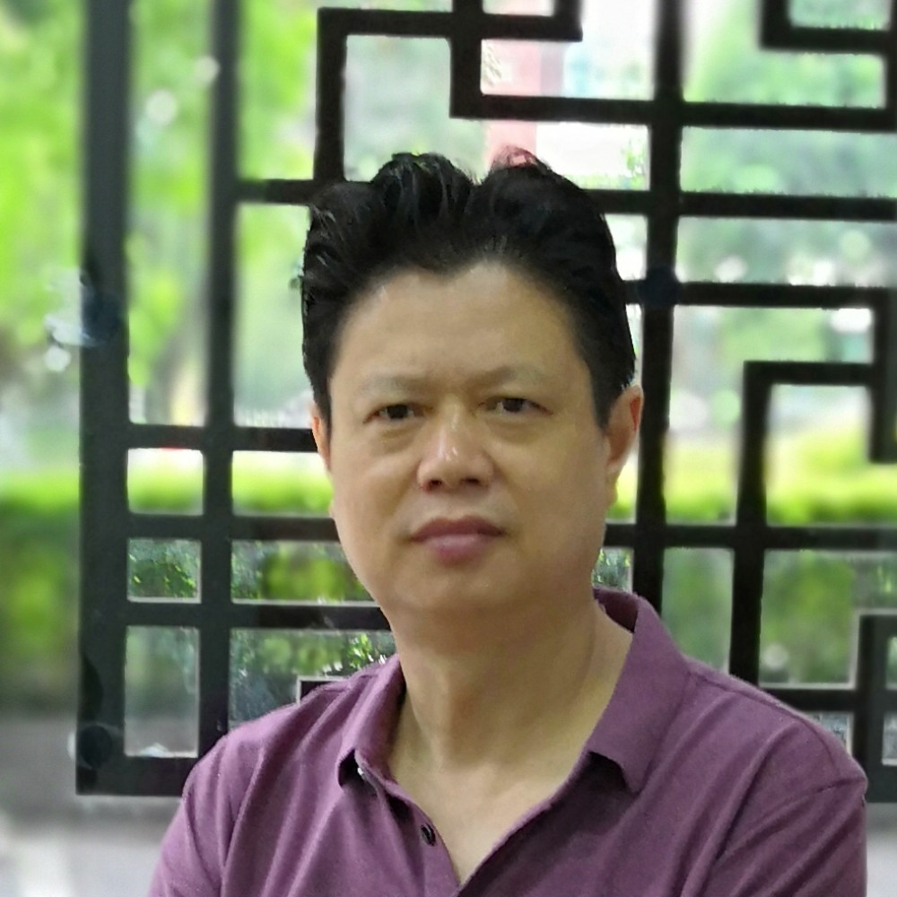 鸭子倾心舒适的照片