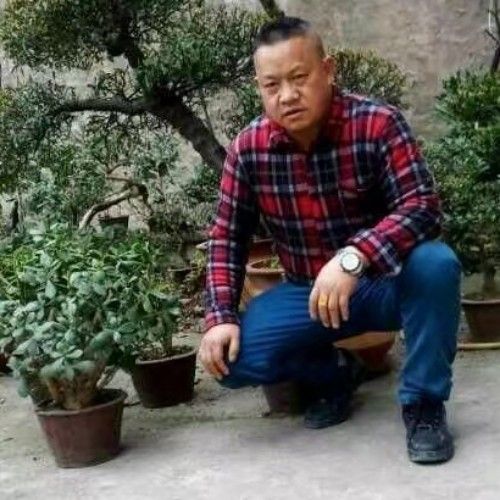 那里才可以找到你的照片