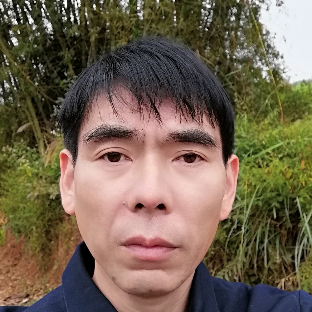 孤独凝眸崖悔的照片