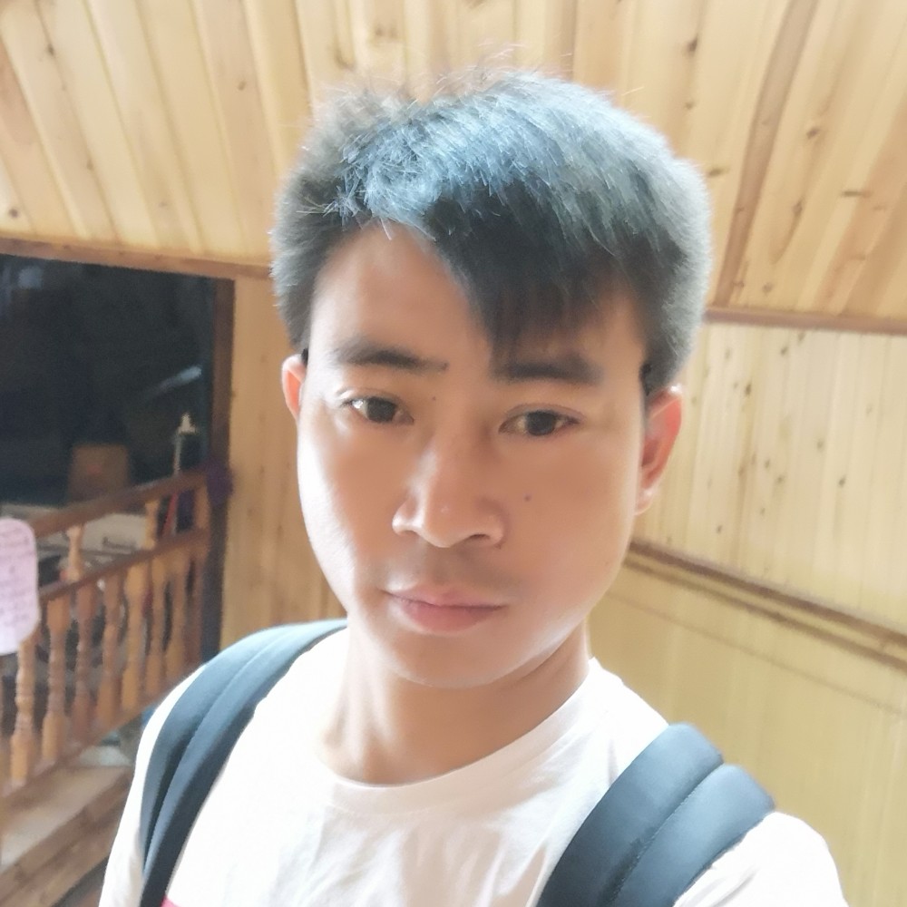 熊的照片