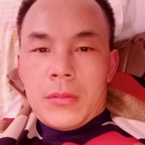 闪闪深拥枫叶的照片