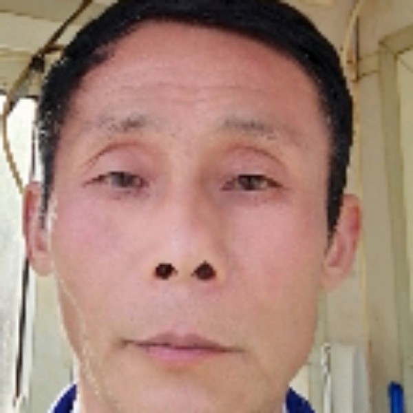 淡若静水的照片