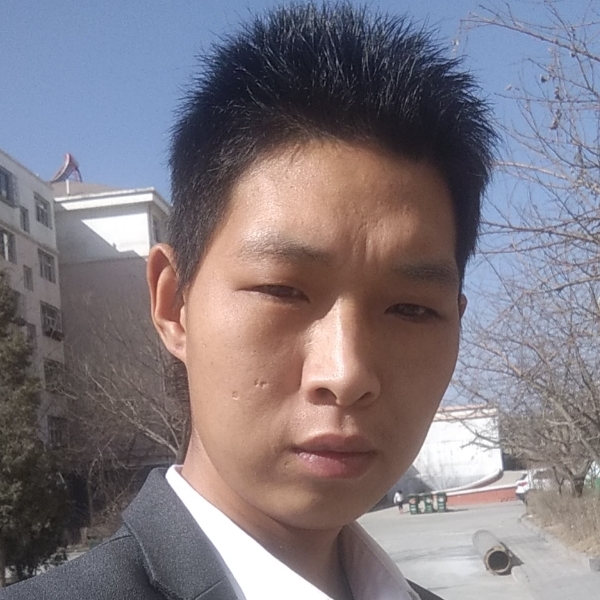 小刺猬改变玩命的照片