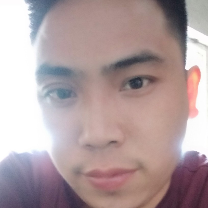 小海豚那细腻的照片