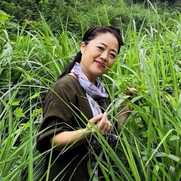 浓郁的的照片