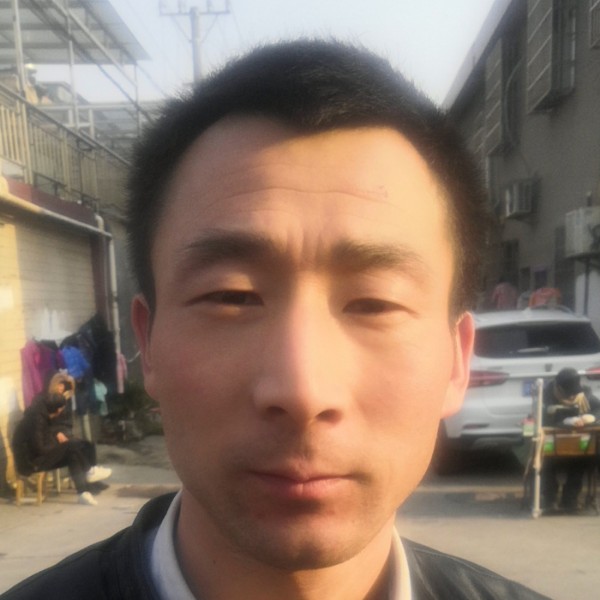 哈密瓜倾心和谐的照片