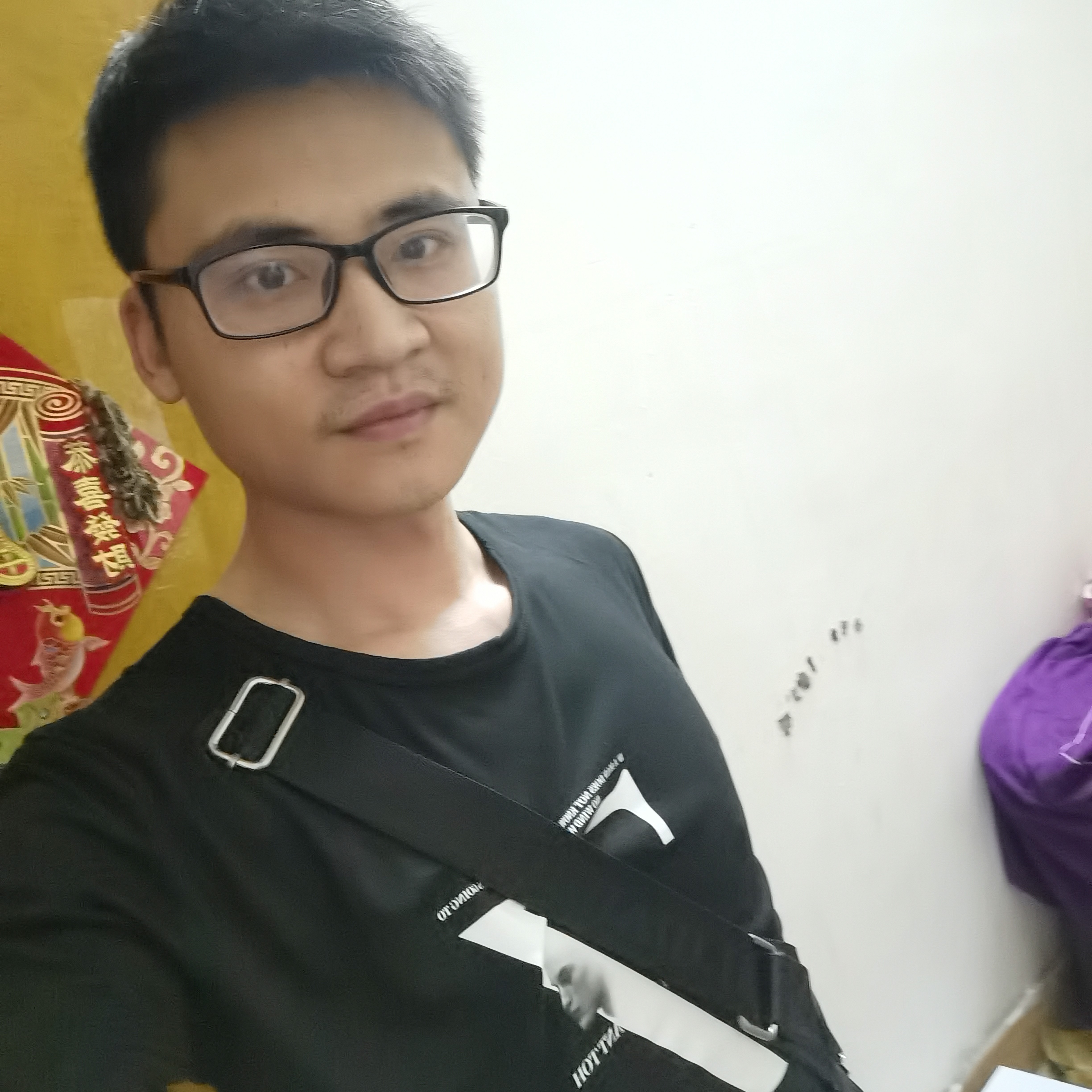 威武浅吻海燕的照片