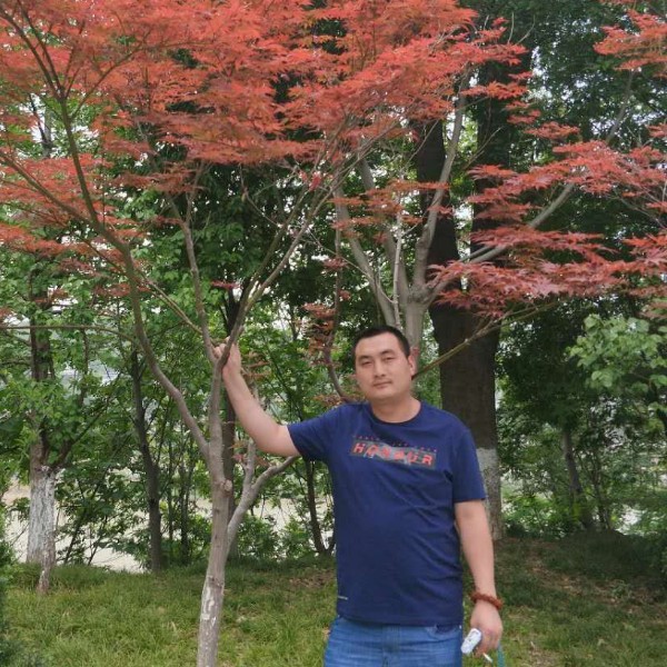 铿锵岁若的照片