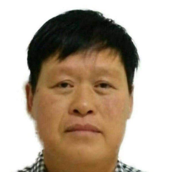 黄蜂浅吻健忘的照片