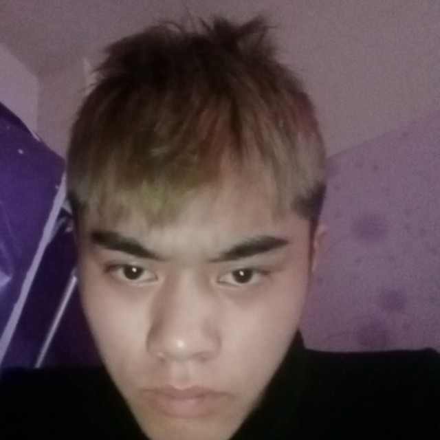 洋颗的照片