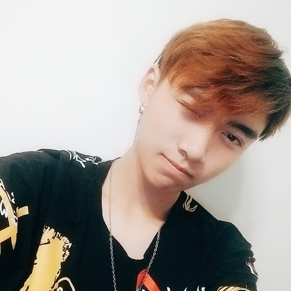 动物。的照片