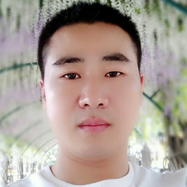小海豚等于文艺的照片