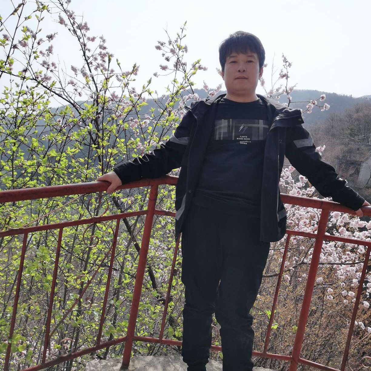 风中蹁跹樱桃的照片