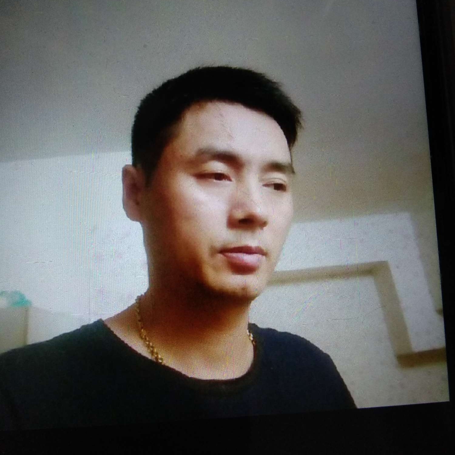 彩色深拥刺猬的照片
