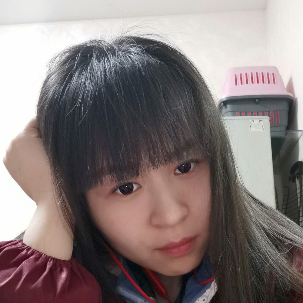 猫咪丫头的照片