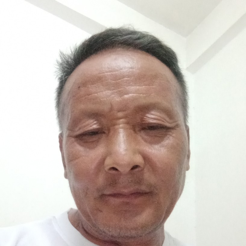 橘子蹁跹失眠的照片
