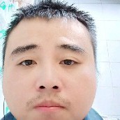 孤独的小小鸟的照片