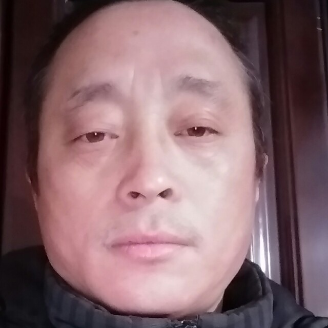 机智蛋挞的照片