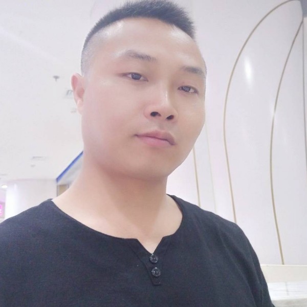 诚心猫咪的照片