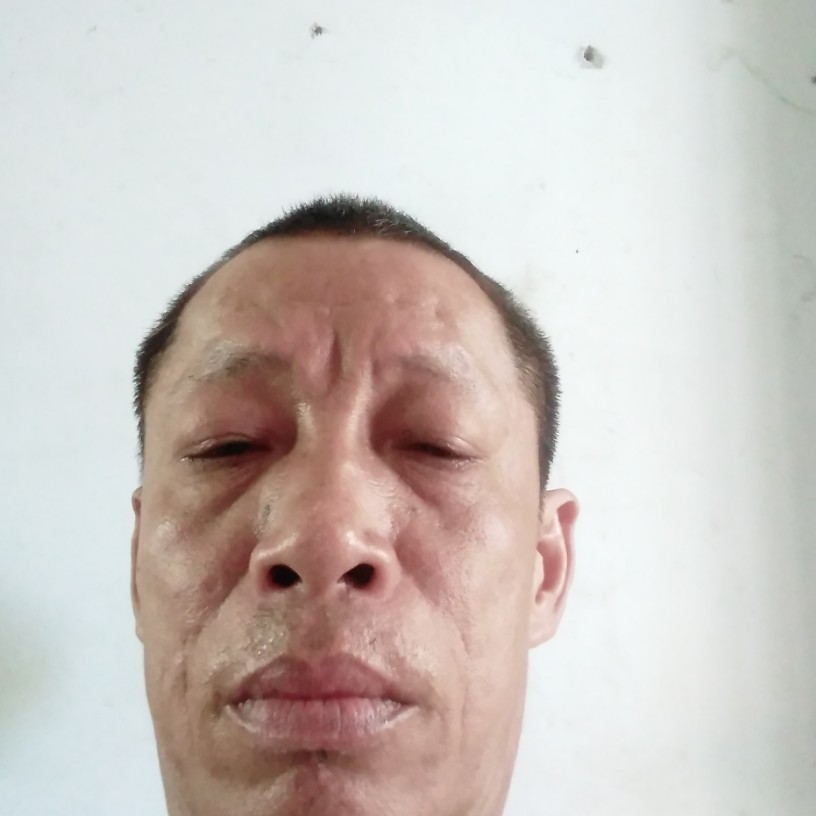 优秀的蜗牛的照片