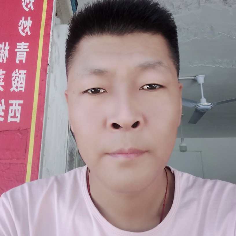 金毛打谁的照片
