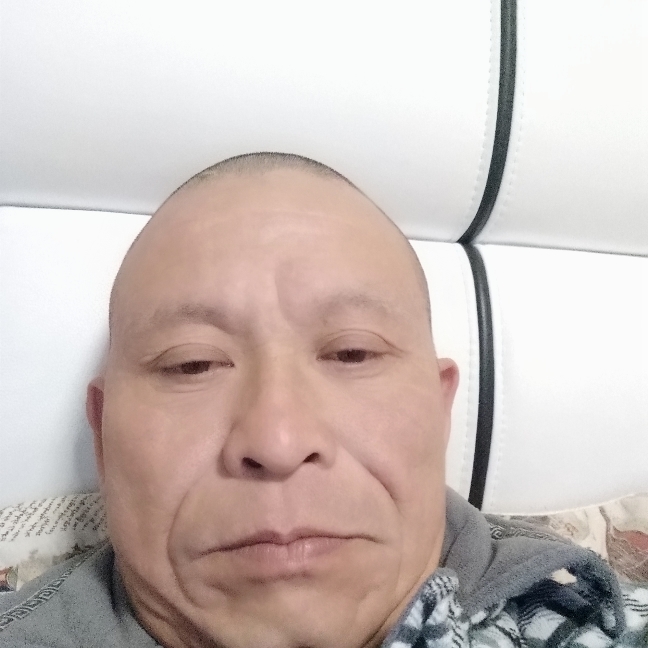 羊停止忐忑的照片