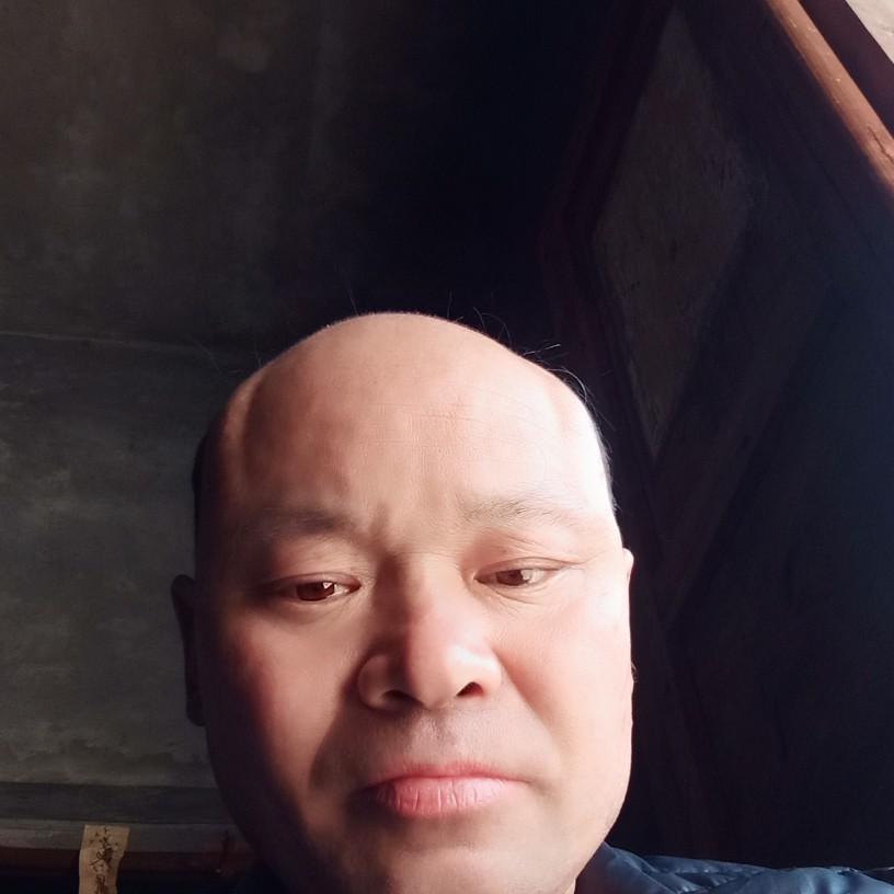 老实人鼠句汉的照片