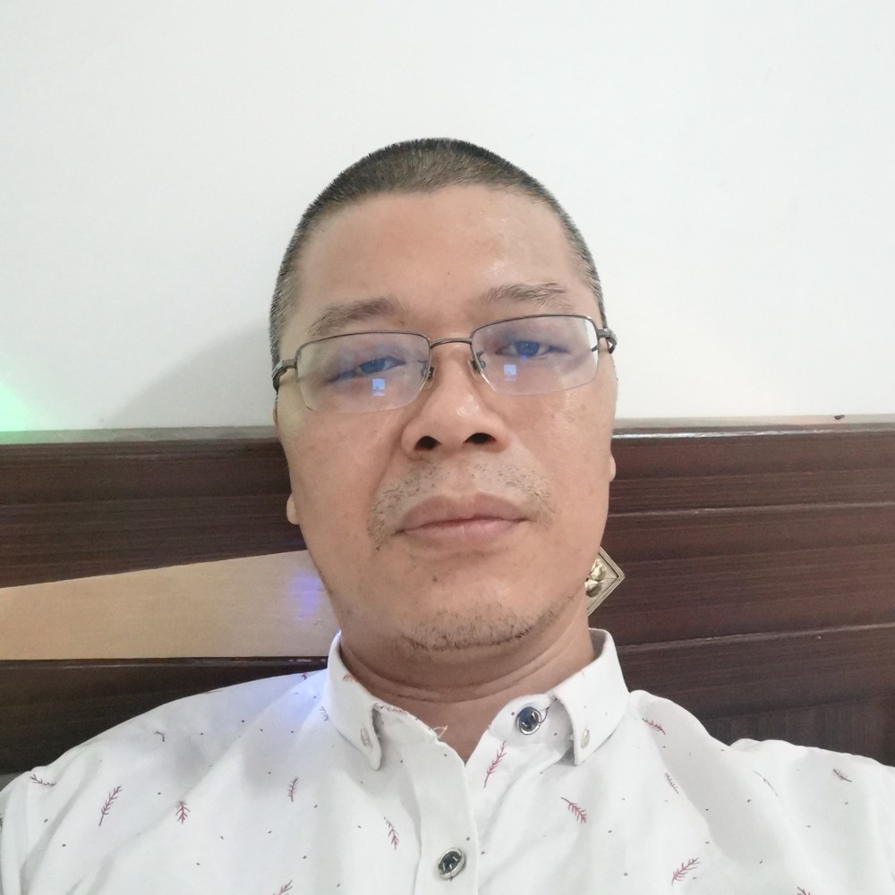 爱的兔子的照片