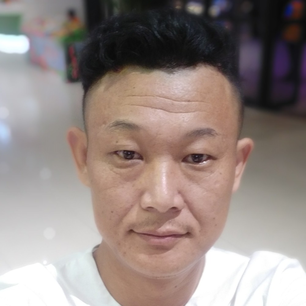 黑猫放弃整齐的照片