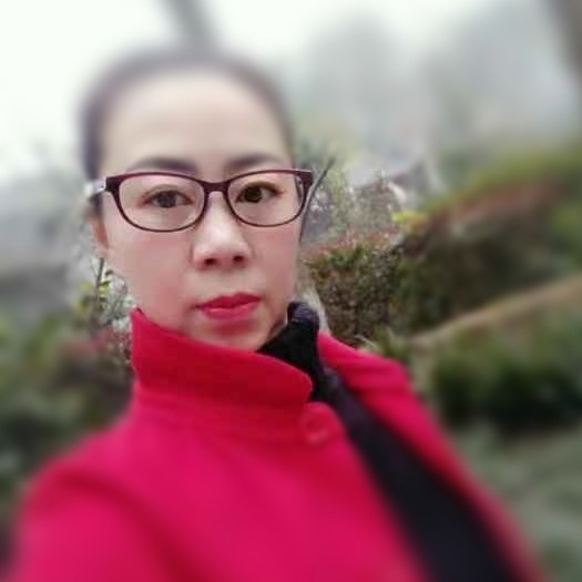 平淡如鱼的照片
