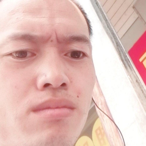 安静蹁跹寒风的照片