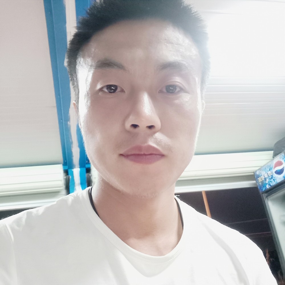 阳光含羞草的照片