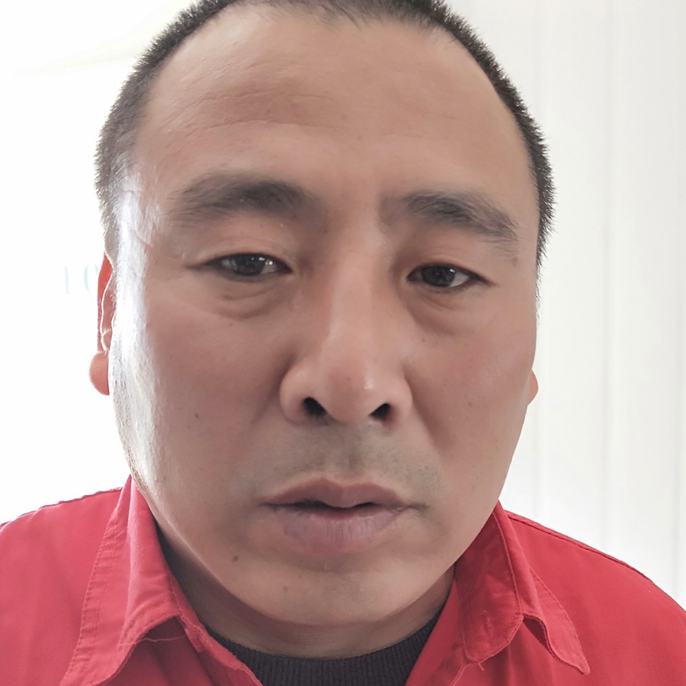 蜜蜂相许寂冷的照片