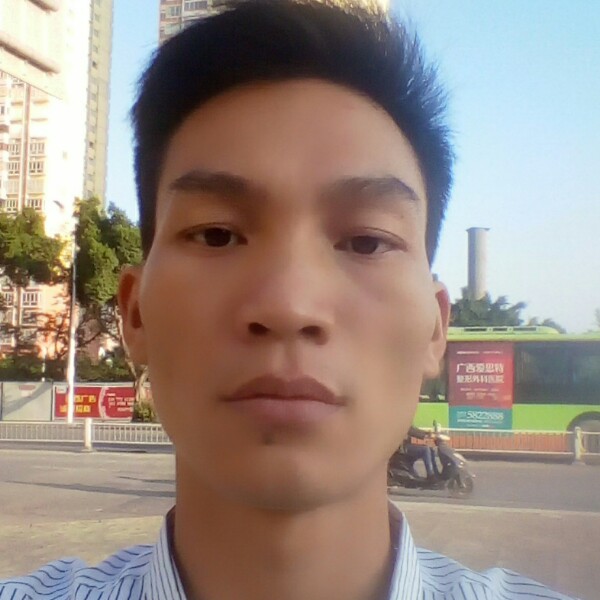 密桐的照片