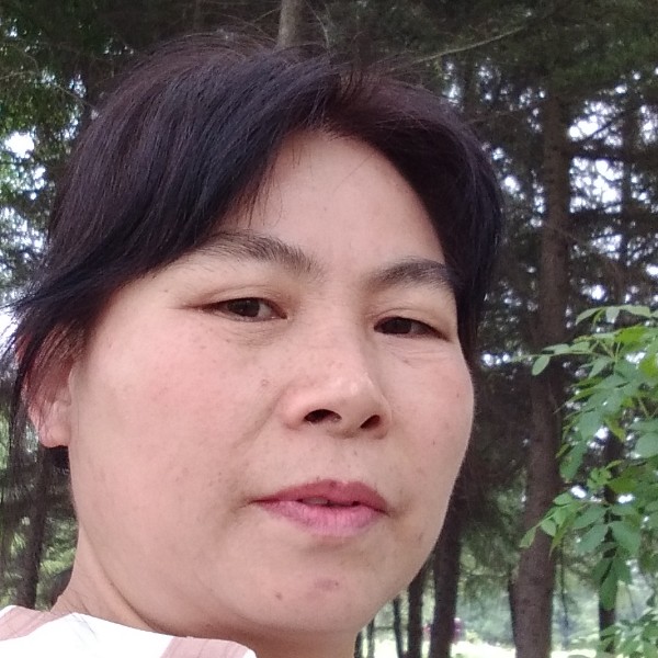 月光整齐的照片